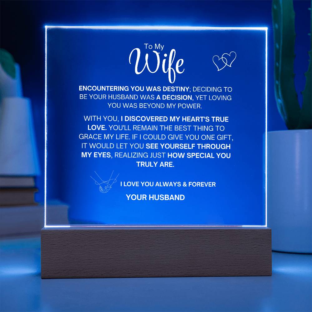 To My Wife- Acrylic Plaque- Gift for My Wife/Soulmate