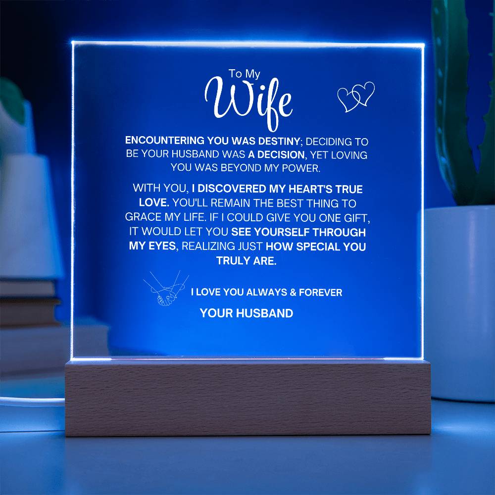 To My Wife- Acrylic Plaque- Gift for My Wife/Soulmate