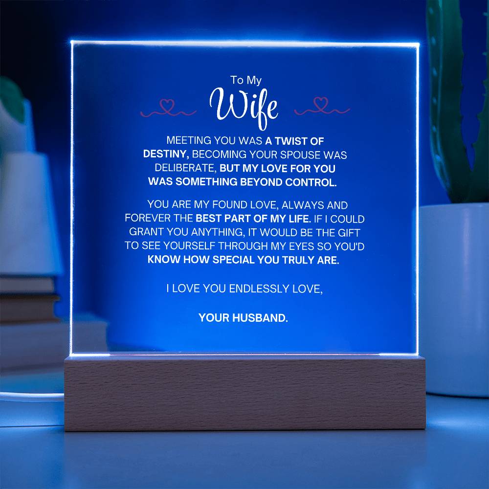 To My Wife- Acrylic Plaque- A Gift for Your Wife/Soulmate