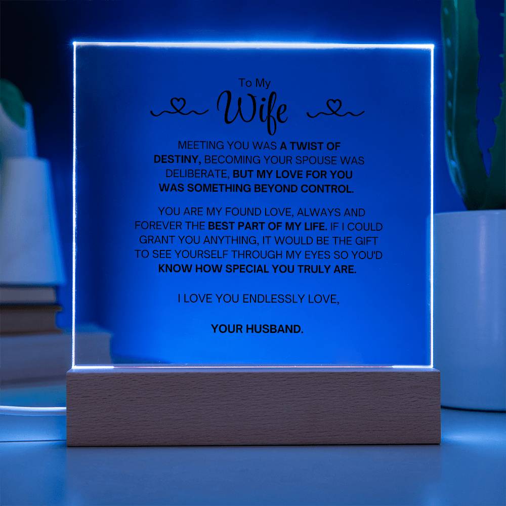 To My Wife- Acrylic Plaque- A Gift for Your Wife/Soulmate