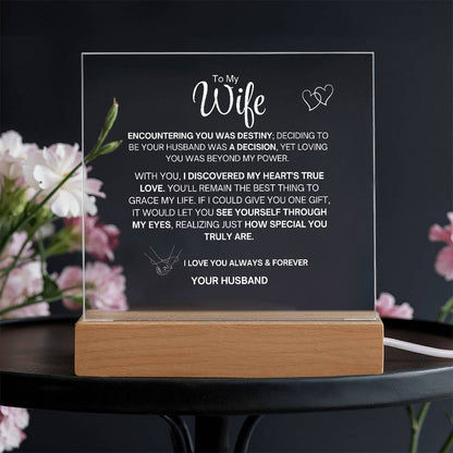 To My Wife- Acrylic Plaque- Gift for My Wife/Soulmate