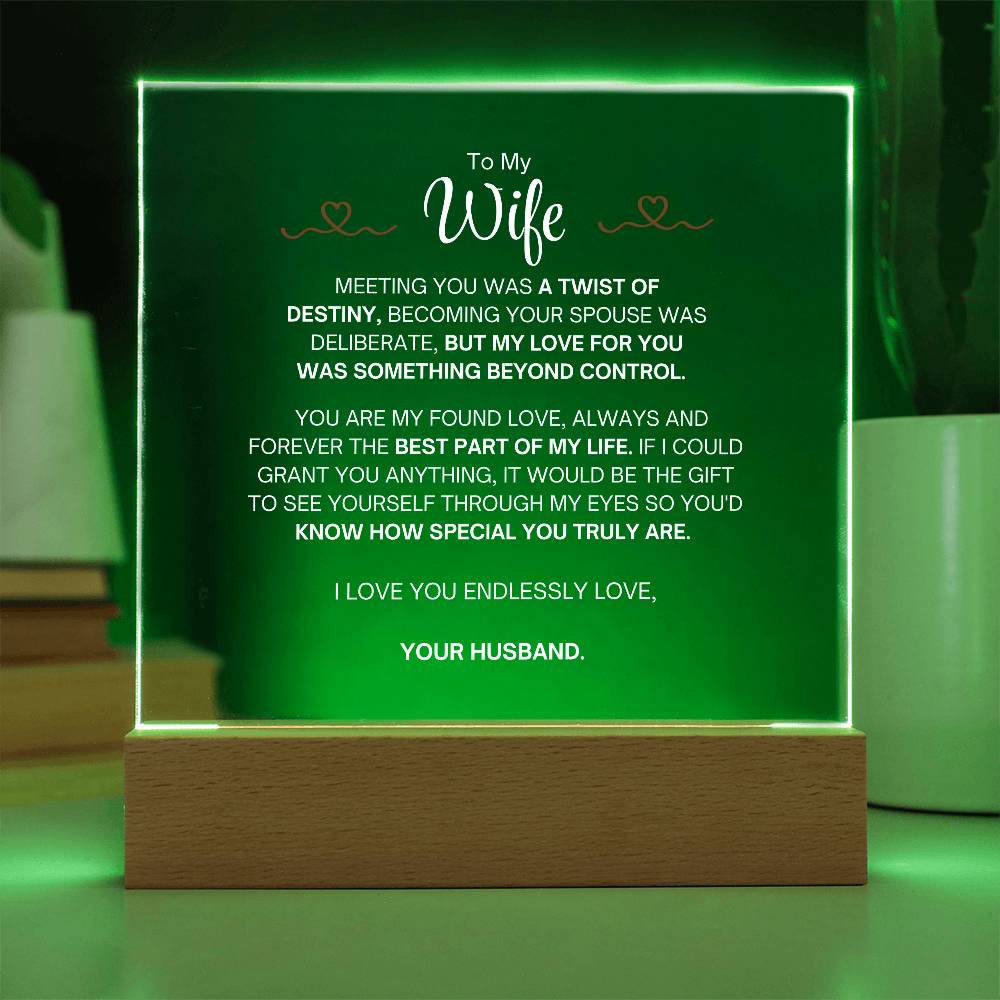 To My Wife- Acrylic Plaque- A Gift for Your Wife/Soulmate