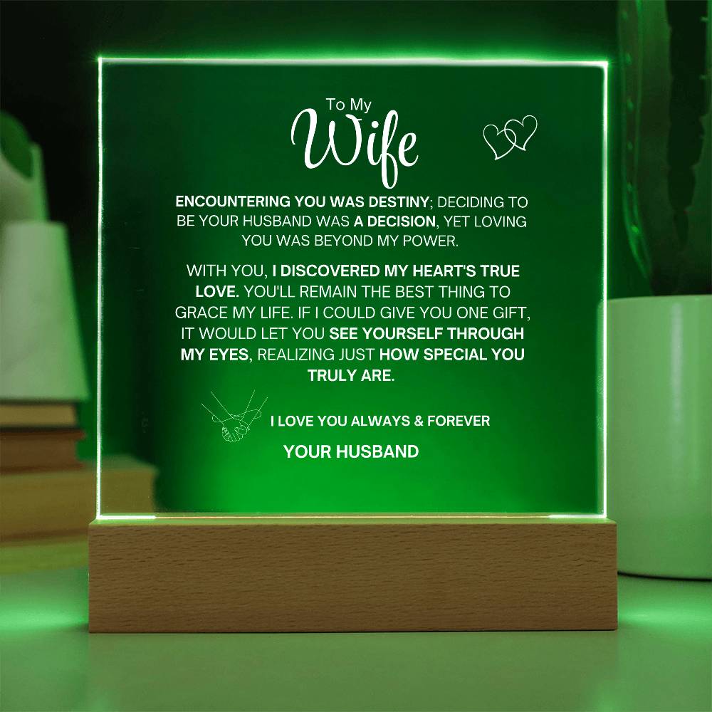 To My Wife- Acrylic Plaque- Gift for My Wife/Soulmate