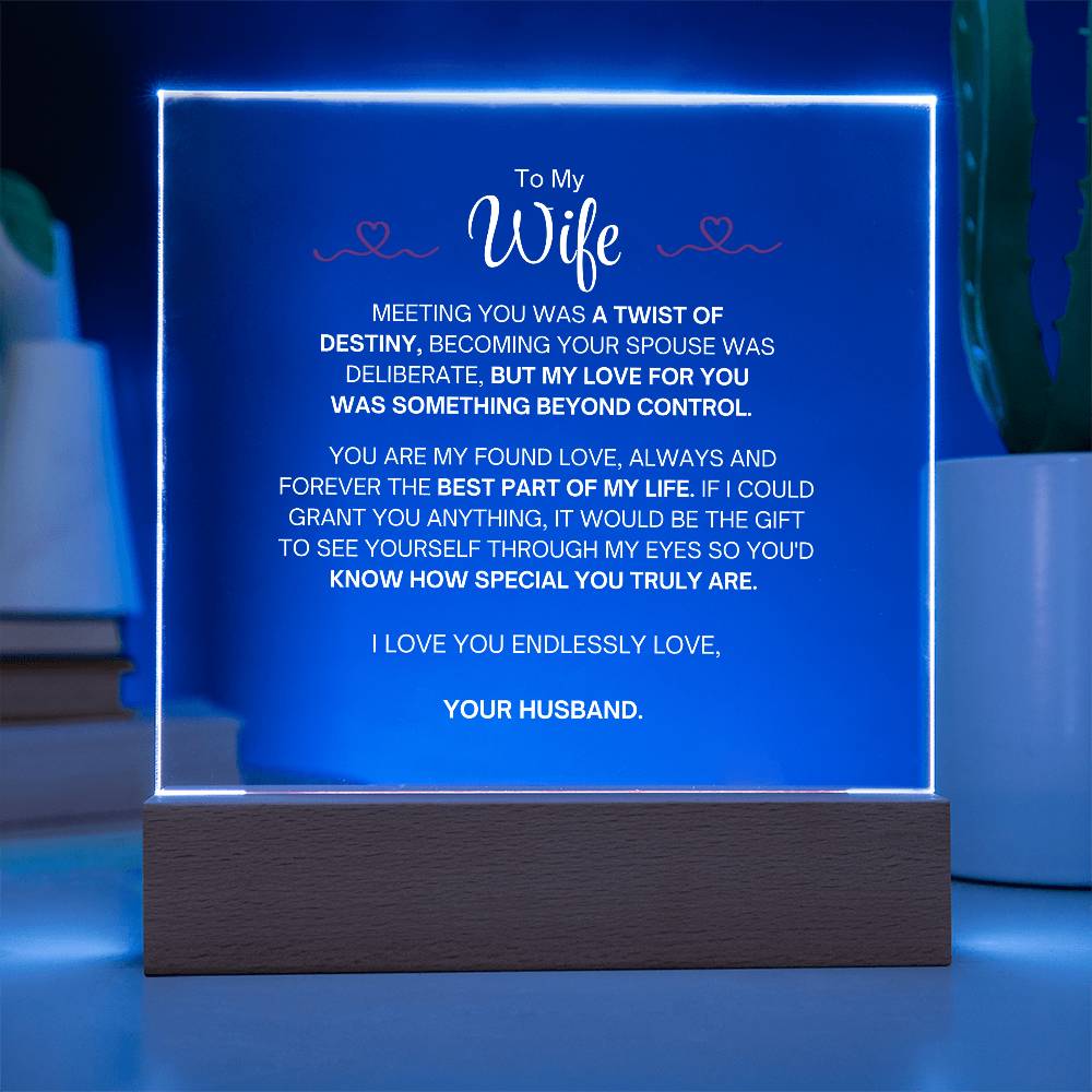 To My Wife- Acrylic Plaque- A Gift for Your Wife/Soulmate