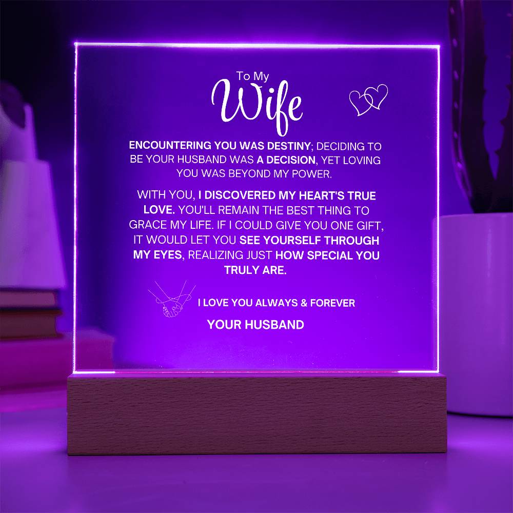 To My Wife- Acrylic Plaque- Gift for My Wife/Soulmate