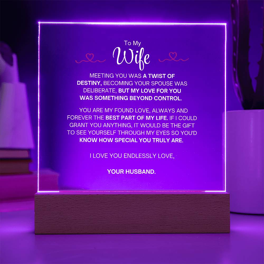 To My Wife- Acrylic Plaque- A Gift for Your Wife/Soulmate