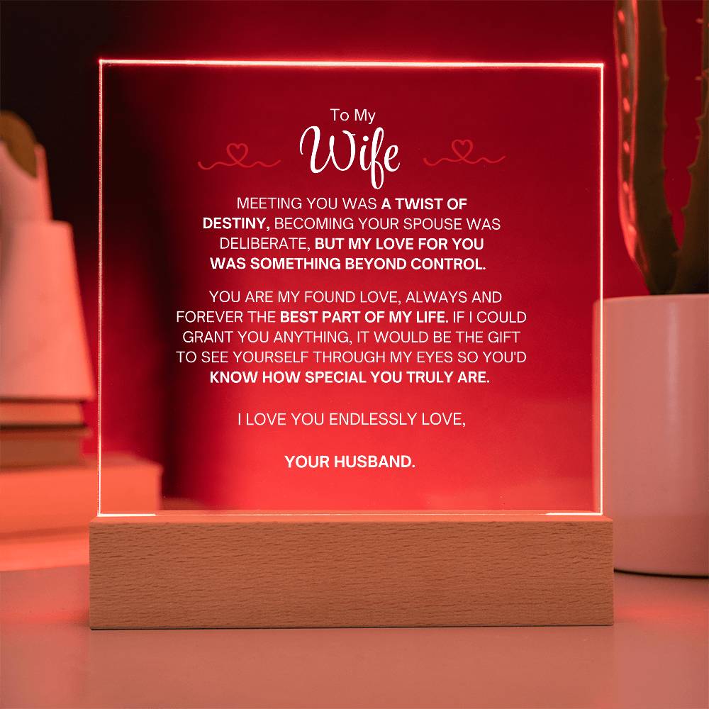 To My Wife- Acrylic Plaque- A Gift for Your Wife/Soulmate