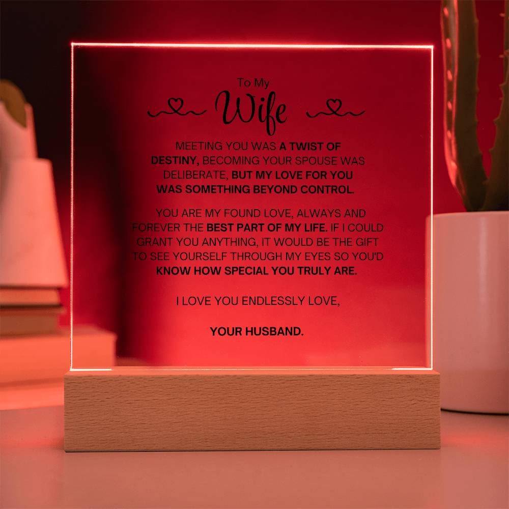 To My Wife- Acrylic Plaque- A Gift for Your Wife/Soulmate