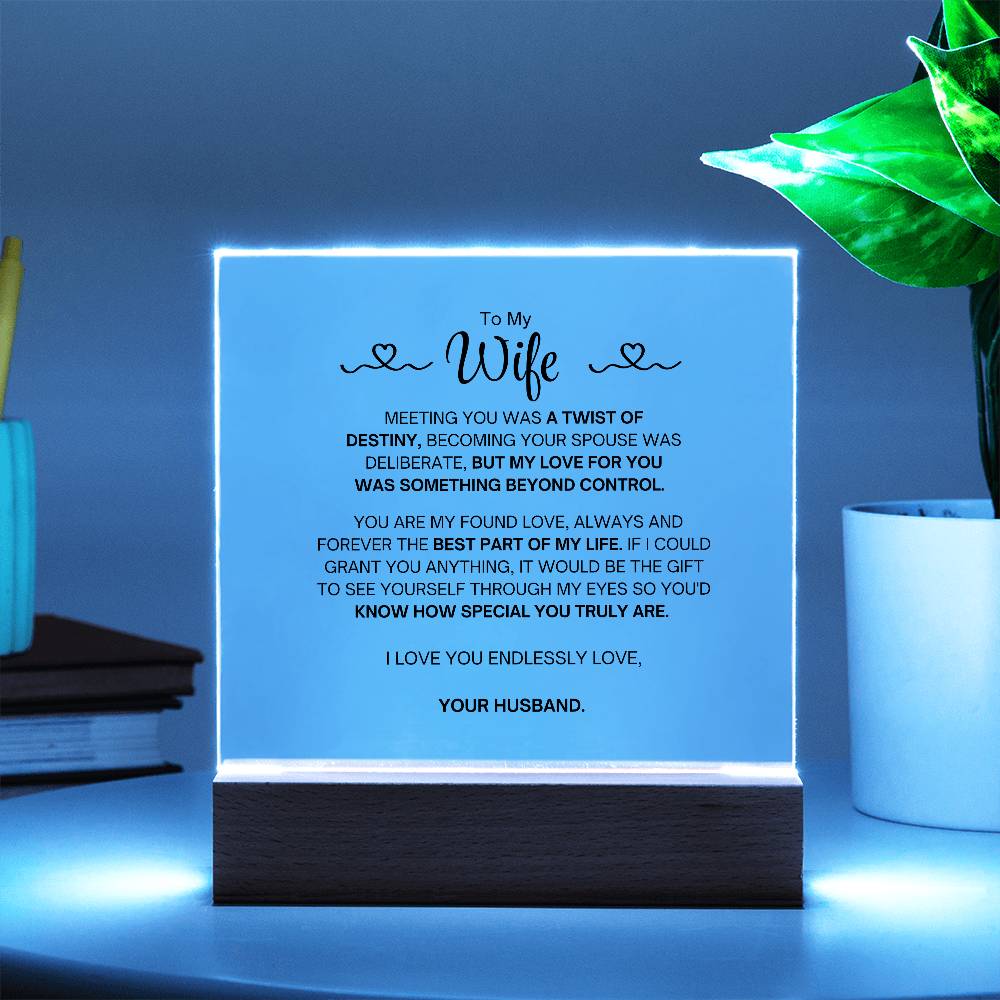 To My Wife- Acrylic Plaque- A Gift for Your Wife/Soulmate