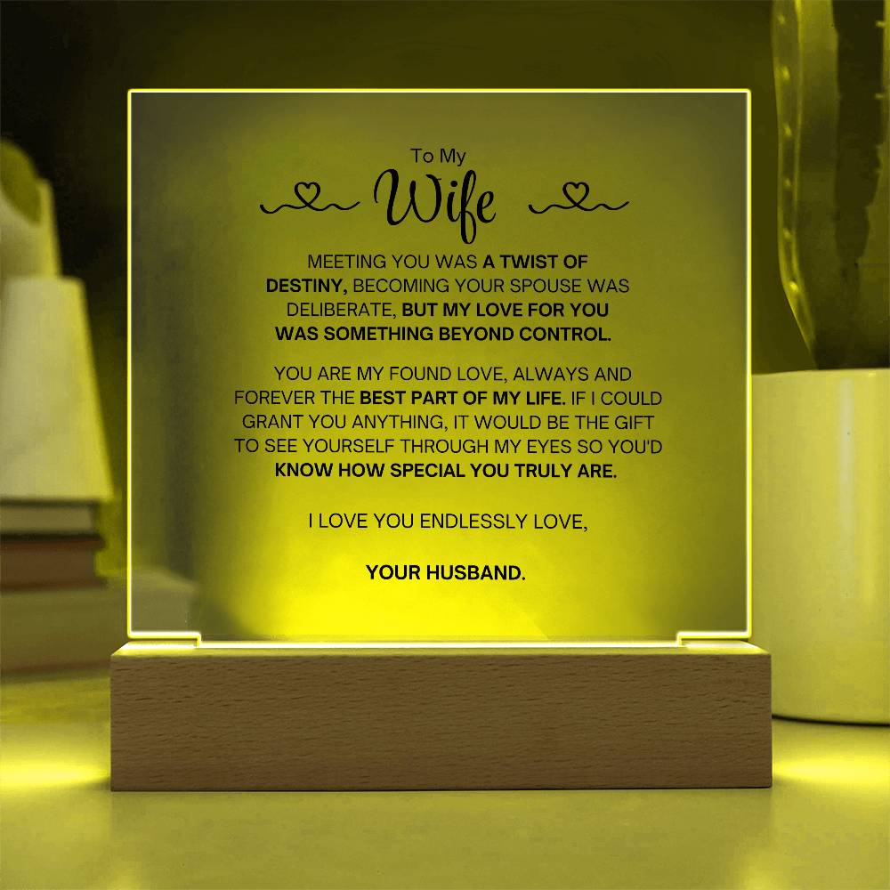 To My Wife- Acrylic Plaque- A Gift for Your Wife/Soulmate