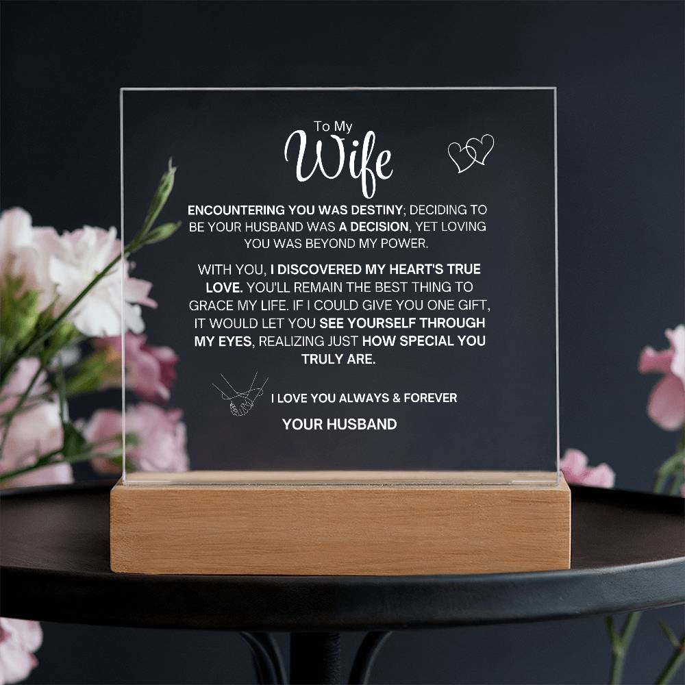 To My Wife- Acrylic Plaque- Gift for My Wife/Soulmate